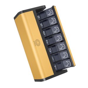 7 Day 2 Time Weekly Pill Organizer(Golden)
